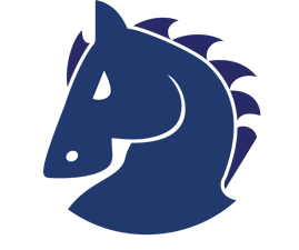 Mustang Road Surf Company logo